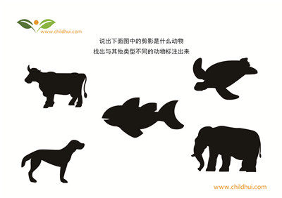 说出图画中的剪影是什么动物,划掉与其他类型不同的动物