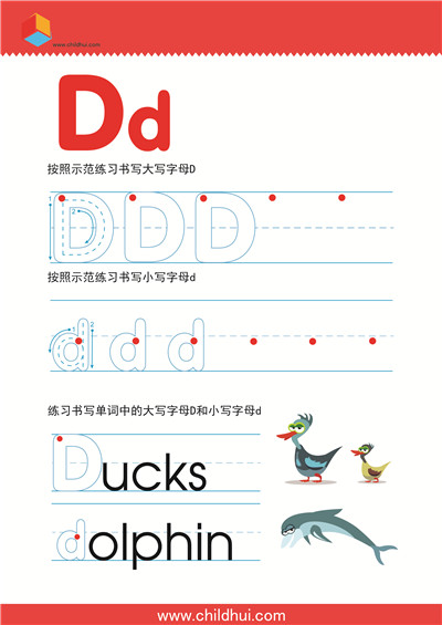 字母d的书写格式图片