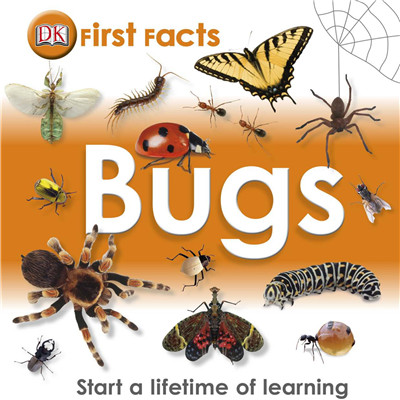 first facts - bugs（英文）