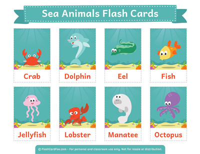 海洋动物（英文卡片）