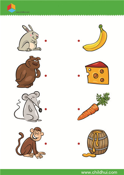 用直线连接动物和它们各自的食物