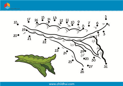 数字连线 - 四季豆
