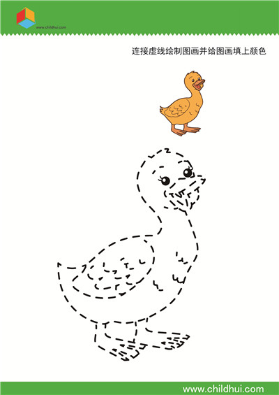 连线与填色 - 小鸭