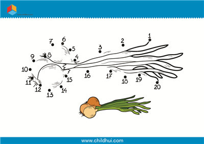 数字连线 - 洋葱