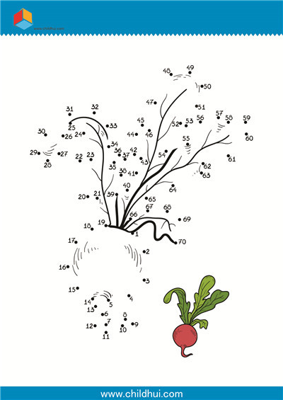 数字连线 - 小萝卜