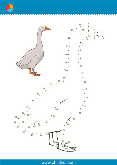 数字连线 - 鹅