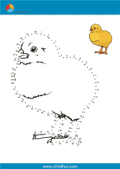 数字连线 - 小鸡