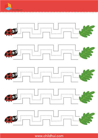 书写前练习 - 绘制瓢虫的爬行路线