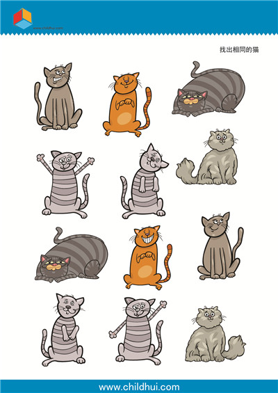 找出相同的猫