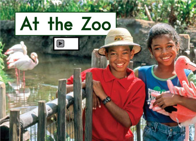 At The Zoo