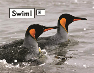 Swim