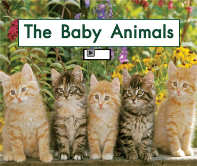 The Baby Animals
