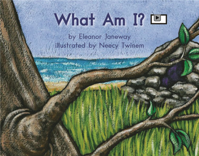 What Am I
