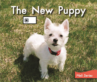 The New Puppy