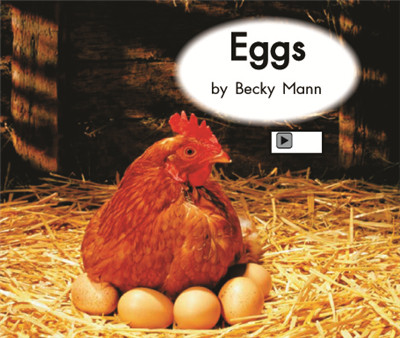 Eggs