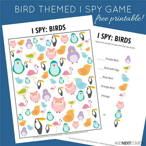 I Spy - Birds Themed