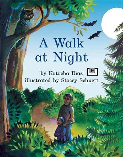A Walk At Night