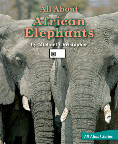All About African Elephants