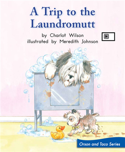 A Trip to the Laundromutt