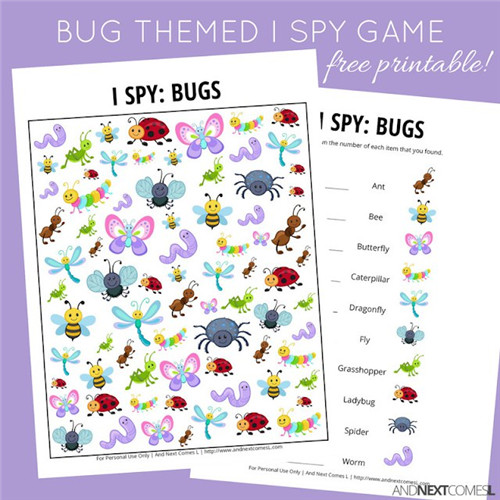 I Spy - Bugs Themed