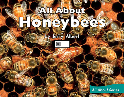 All About Honey bees