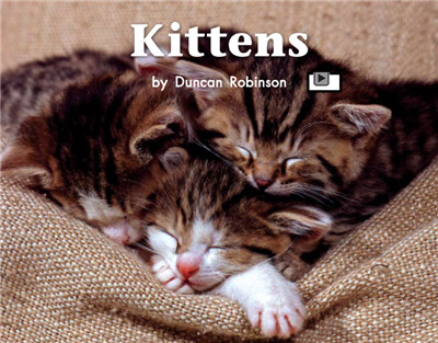 Kittens