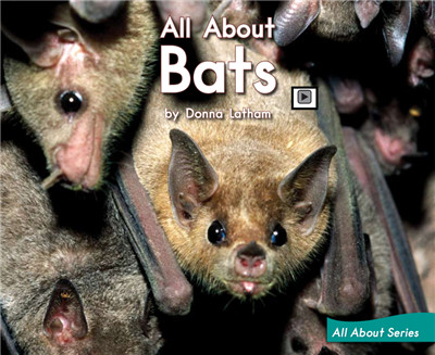 All About Bats