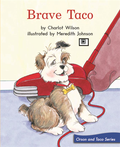 Brave Taco
