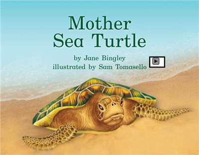Mother Sea Turtle