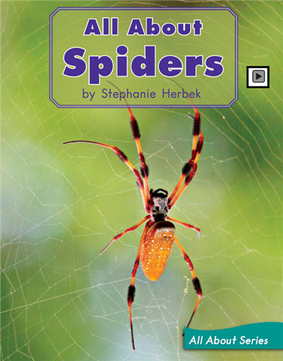 All About Spiders