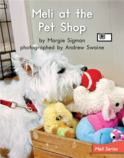 Meli At The Pet Shop