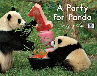 A Party For Panda