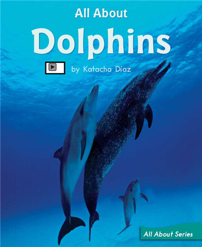 All About Dolphins