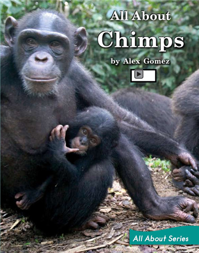 All About Chimps