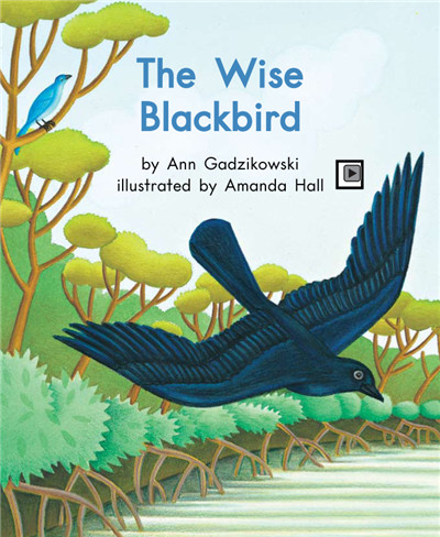 The Wise Black bird