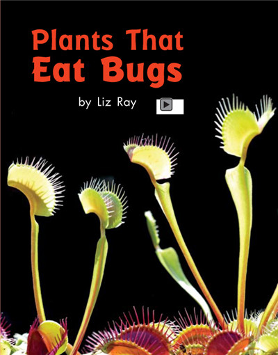 Plants That Eat Bugs