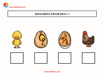 按照先后顺序在方框内填写数字1-4