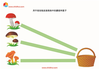 用手指划线连接图画中的蘑菇和篮子