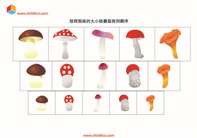 按照图画的大小给蘑菇排列顺序