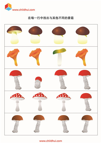 在每一行中找出与其他不同的香菇