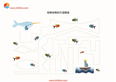 绘制动物的行进路线