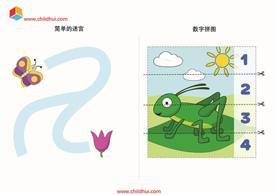 昆虫题材的幼儿学习册