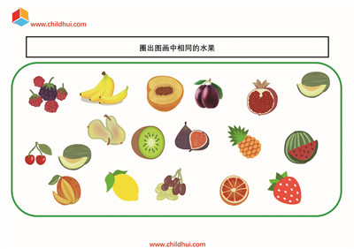 圈出图画中相同的水果