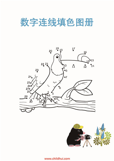 数字连线填色