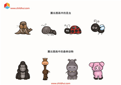 查找每一行中与其他类型不同的动物