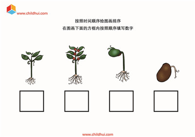 按照先后顺序给图画排序