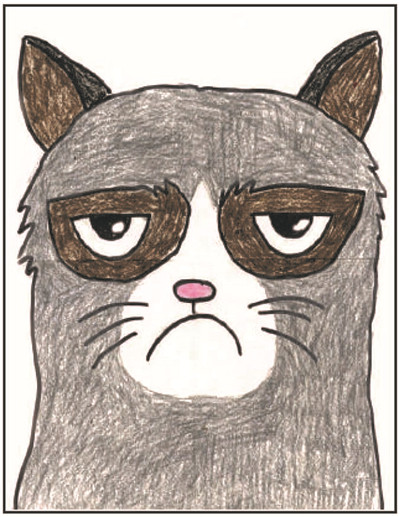 按照步骤学习绘画 - 猫