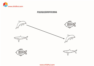 用直线连接相同的图画