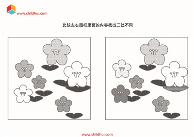 比较图画查找不同