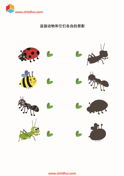 连接动物和它们各自的剪影